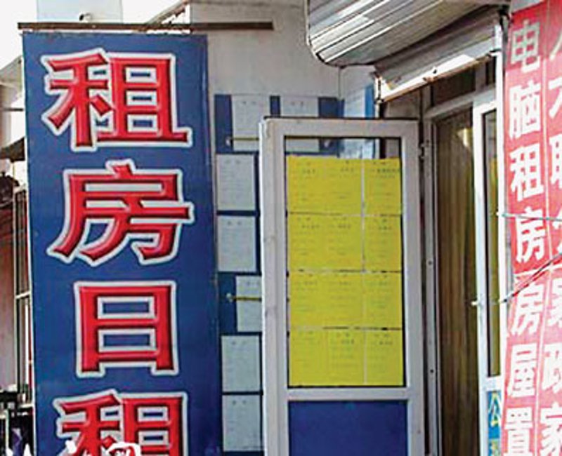 陈旗政府领导之窗：引领城市发展新方向